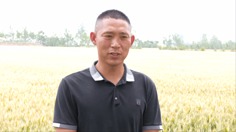 涡阳种植业最新发展动态：从传统农业到现代智慧农业的转变