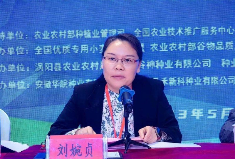 涡阳种植
