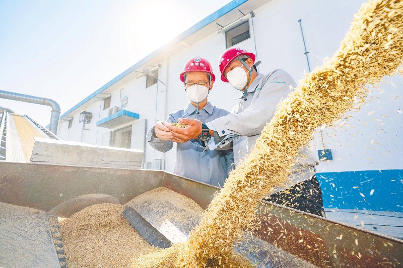 粮食收购